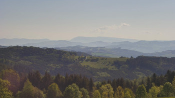 Snímek    12.5.2025 v 08:30