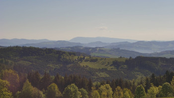 Snímek    13.5.2025 v 08:30