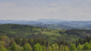 Snímek    14.5.2025 v 11:30