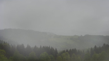 Snímek    15.5.2025 v 08:30