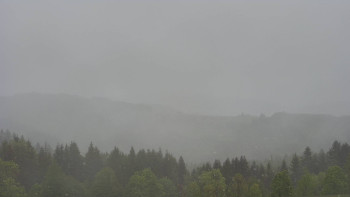 Snímek    15.5.2025 v 09:30