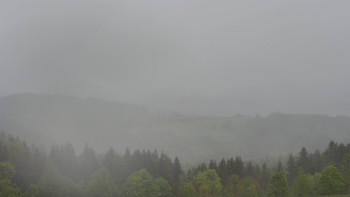 Snímek    15.5.2025 v 10:00
