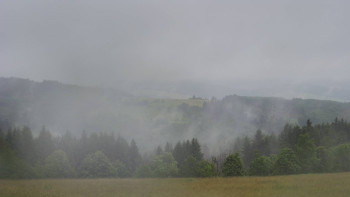 Snímek    16.6.2025 v 19:30