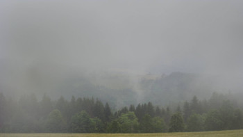 Snímek    4.7.2025 v 08:00