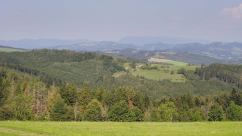 Snímek    15.8.2025 v 16:00