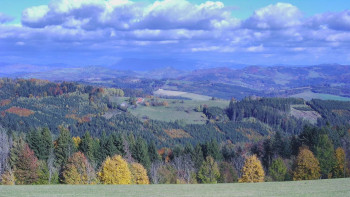 Snímek    18.10.2025 v 15:00