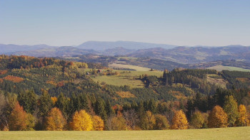 Snímek    20.10.2025 v 11:30