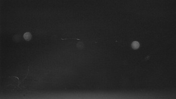 Snímek    21.10.2025 v 03:30