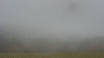 Snímek    27.10.2025 v 16:30
