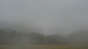 Snímek    28.10.2025 v 16:30