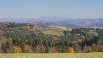 Snímek    1.11.2025 v 11:30