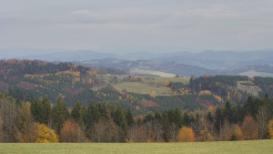 Bludný - Rajnochovice Troják - Bludný - Rajnochovice Troják  - 2.11.2025 v 12:30