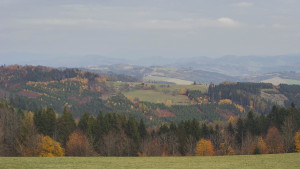 Bludný - Rajnochovice Troják - Bludný - Rajnochovice Troják  - 2.11.2025 v 13:30