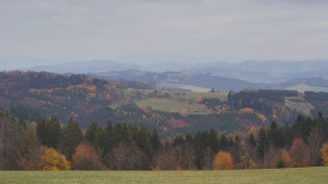Bludný - Rajnochovice Troják - Bludný - Rajnochovice Troják  - 2.11.2025 v 15:30