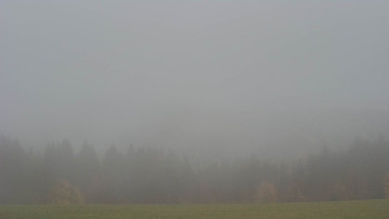 Snímek    3.11.2025 v 09:30