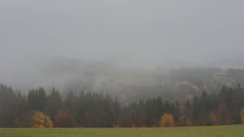 Snímek    3.11.2025 v 10:00