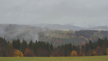 Snímek    3.11.2025 v 11:00