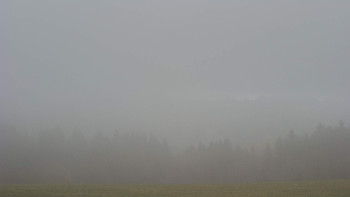 Snímek 9.11.2025 v 08:30