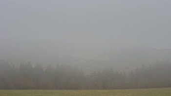 Snímek 14.11.2025 v 11:30