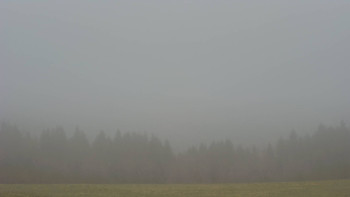 Snímek    14.11.2025 v 16:00