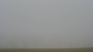 Bludný - Rajnochovice Troják - Bludný - Rajnochovice Troják - 15.11.2025 v 09:00 Bludný - Rajnochovice Troják - Bludný - Rajnochovice Troják - 15.11.2025 v 09:00