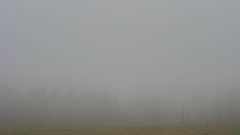 Snímek 15.11.2025 v 13:00