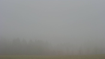 Snímek 15.11.2025 v 13:30