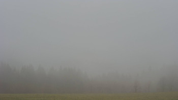 Snímek 15.11.2025 v 14:00