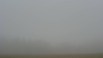 Snímek 16.11.2025 v 07:00