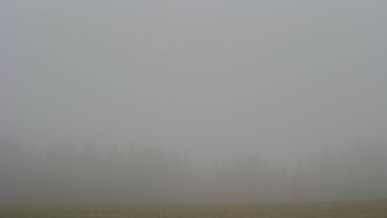 Snímek 16.11.2025 v 07:30