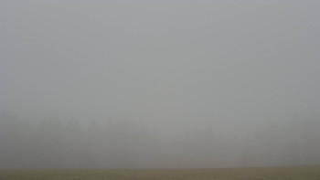 Snímek 16.11.2025 v 08:00