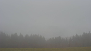 Snímek 16.11.2025 v 08:30