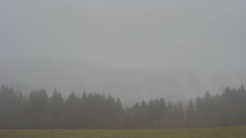 Snímek 16.11.2025 v 09:00