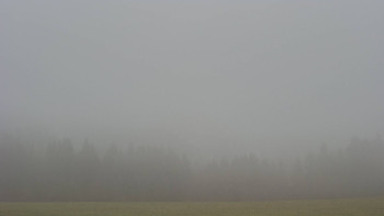 Snímek 16.11.2025 v 12:00