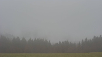 Snímek 17.11.2025 v 10:00