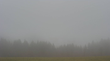 Snímek 17.11.2025 v 10:30