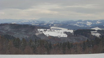 Snímek    24.11.2025 v 10:30