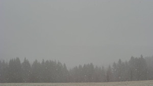 Bludný - Rajnochovice Troják - Bludný - Rajnochovice Troják  - 17.3.2026 v 08:30