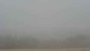 Bludný - Rajnochovice Troják - Bludný - Rajnochovice Troják  - 17.3.2026 v 09:30