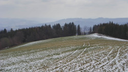 Bludný - Rajnochovice Troják 