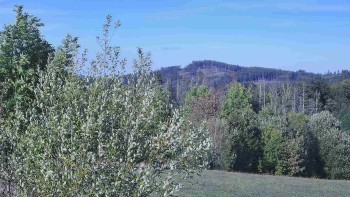 Bludný - Rajnochovice Troják