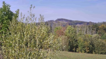 Bludný - Rajnochovice Troják