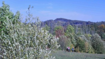 Bludný - Rajnochovice Troják