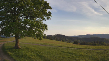 Snímek    13.5.2025 v 19:00