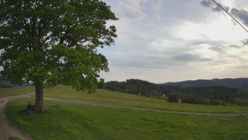 Snímek    14.5.2025 v 19:00