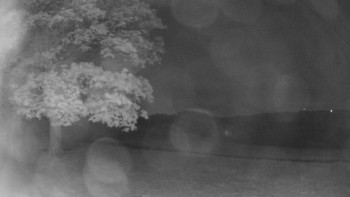 Snímek    15.5.2025 v 03:31