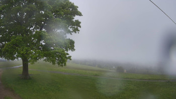 Snímek    15.5.2025 v 11:00