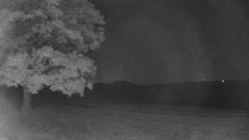 Snímek    16.9.2025 v 22:00
