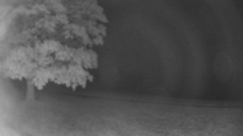 Snímek    30.9.2025 v 01:00
