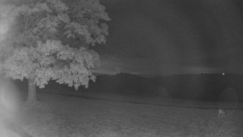 Snímek    16.10.2025 v 03:30